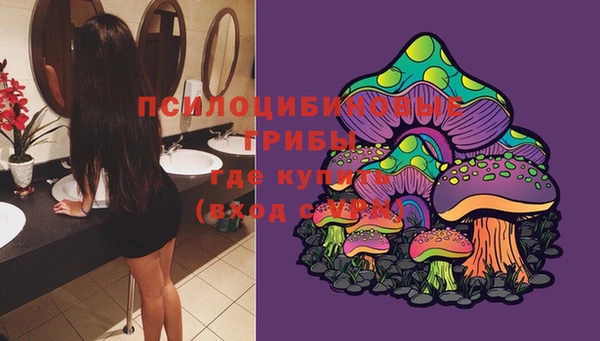 круглые Алзамай