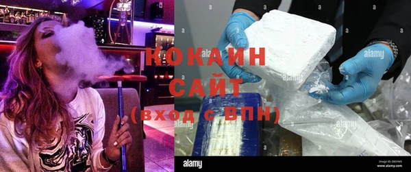 apvp Алексин