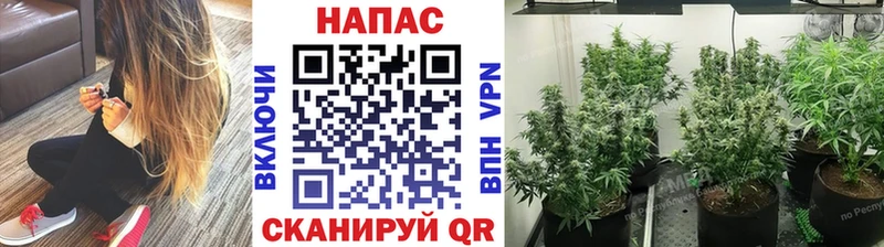 Марихуана MAZAR  MEGA как войти  Когалым  купить наркотик 